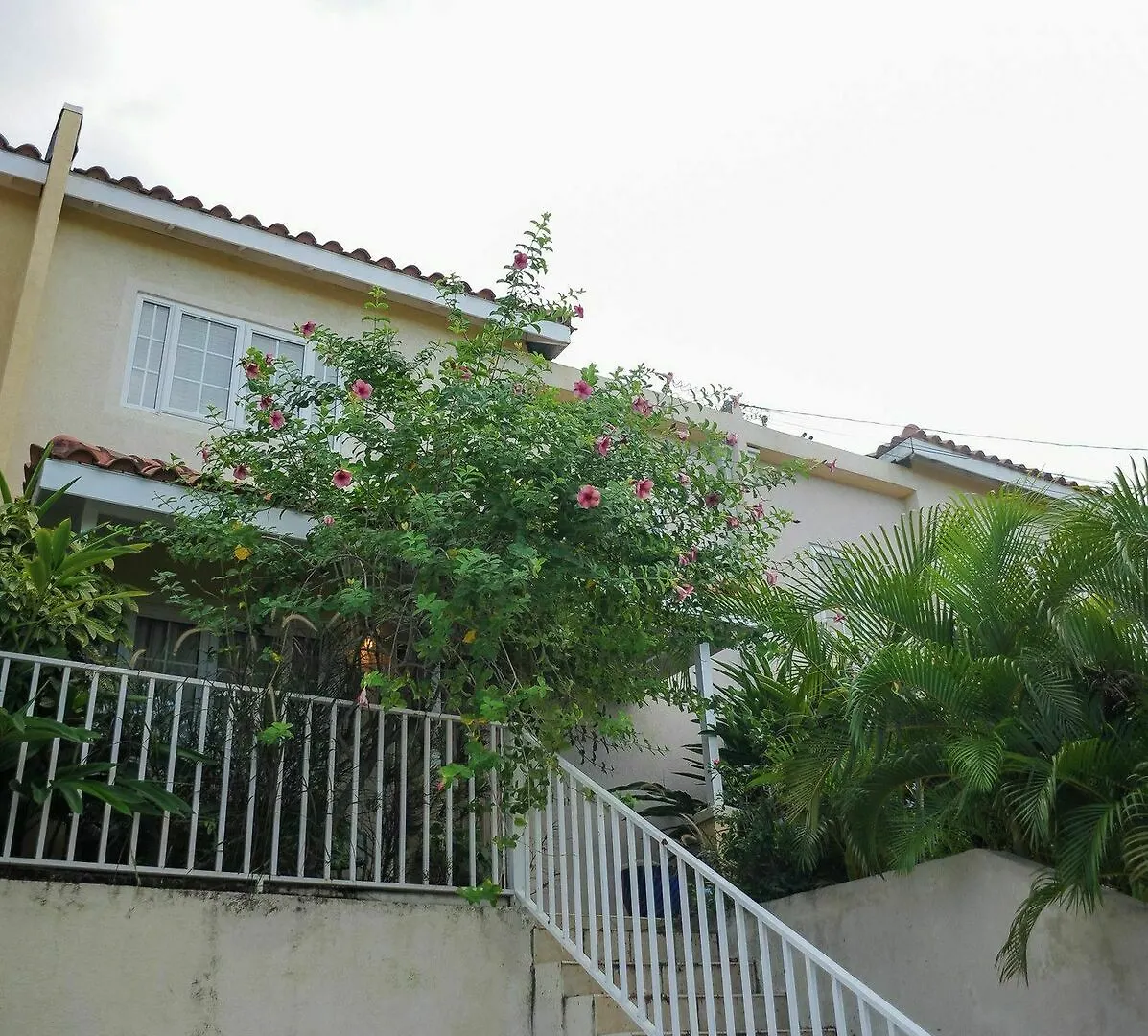 蒙特哥贝 Country Club Mangowalk Townhouse酒店 酒店